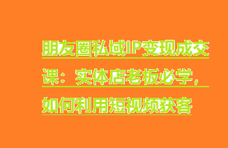 朋友圈私域IP变现成交课：实体店老板必学，如何利用短视频获客-橙雨网赚