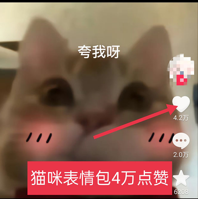 图片[3]-黑科技纯原创可爱猫咪图片，全网精准引流，实操5个VX号被加频繁-橙雨网赚