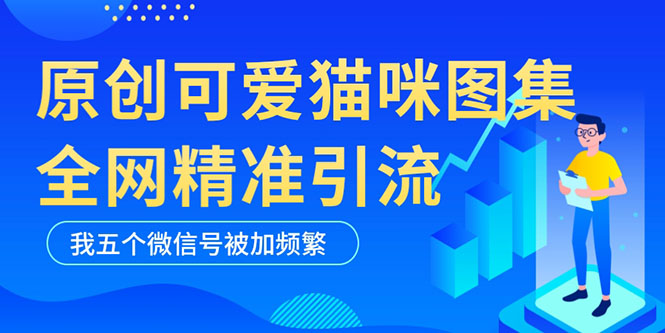 黑科技纯原创可爱猫咪图片，全网精准引流，实操5个VX号被加频繁-橙雨网赚