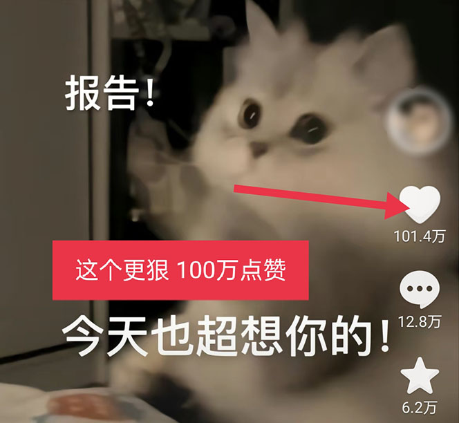 图片[4]-黑科技纯原创可爱猫咪图片，全网精准引流，实操5个VX号被加频繁-橙雨网赚