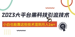 价值4899的2023大平台黑科技引流技术 小白也能靠这些技术混到月入1w+29节课-橙雨网赚