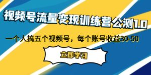 视频号流量变现训练营公测1.0：一个人搞五个视频号，每个账号收益30-50-橙雨网赚