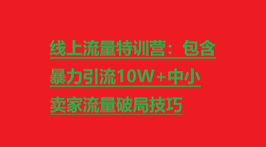 线上流量特训营：包含暴力引流10W+中小卖家流量破局技巧-橙雨网赚