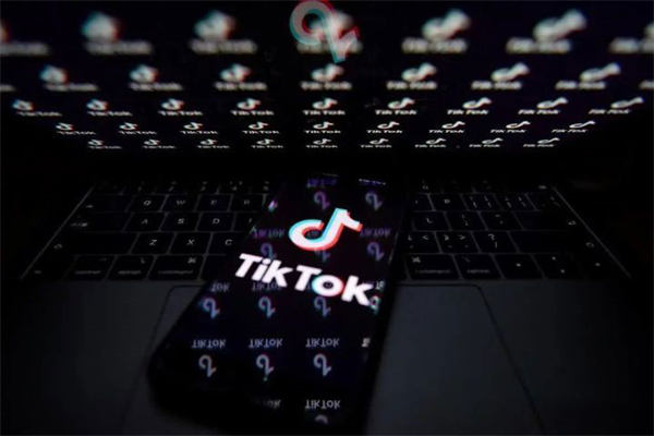 怎么在抖音国际版TikTok赚钱？Tik Tok撸美金项目-橙雨网赚