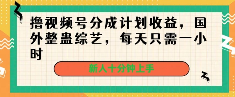 撸视频号分成计划收益，国外整蛊综艺，每天只需一小时，新人十分钟上手-橙雨网赚