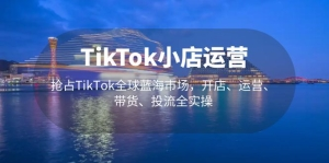 TikTok小店运营 抢占TikTok全球蓝海市场，开店、运营、带货、投流全实操-橙雨网赚